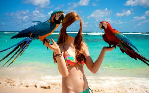 Шаблон для фотошопа - Девушка и 2 красивых попугая