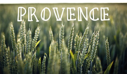 Vintage Font- provence - Creativemarket 34716