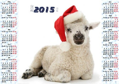 На 2015 год календарь - Миленький ягненок в шапке