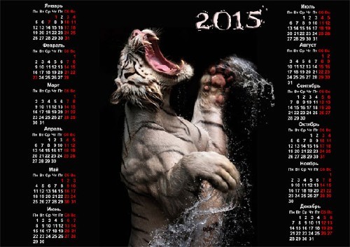 На 2015 год календарь - Рычание тигра