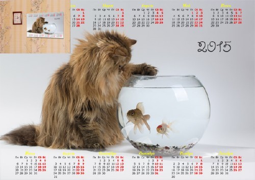 Календарь - Рыбки и кошка