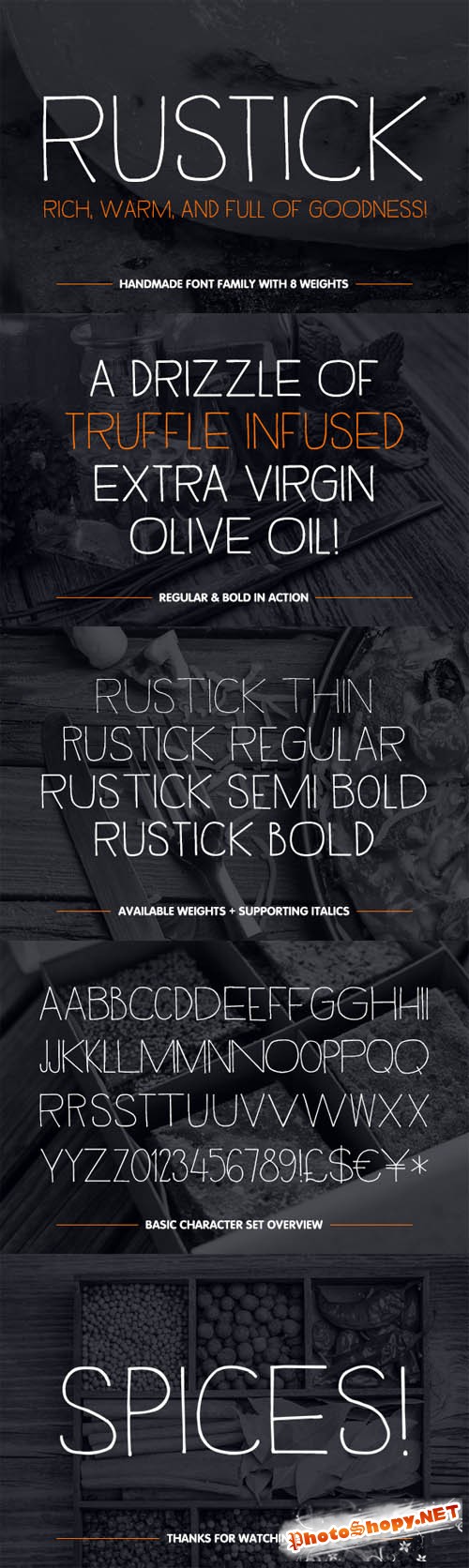 Rustick Type Family Font