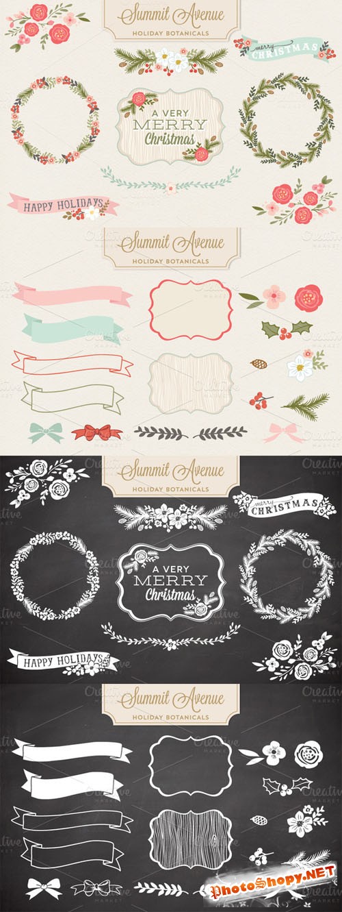 Holiday Botanical Vectors and PNG Designs - CM 17575