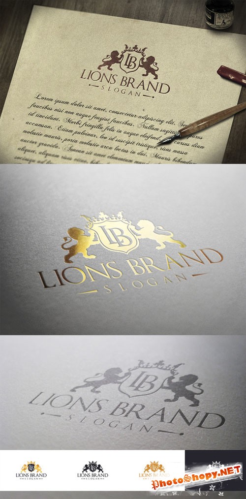 Lions Brand Logo - CM 24574
