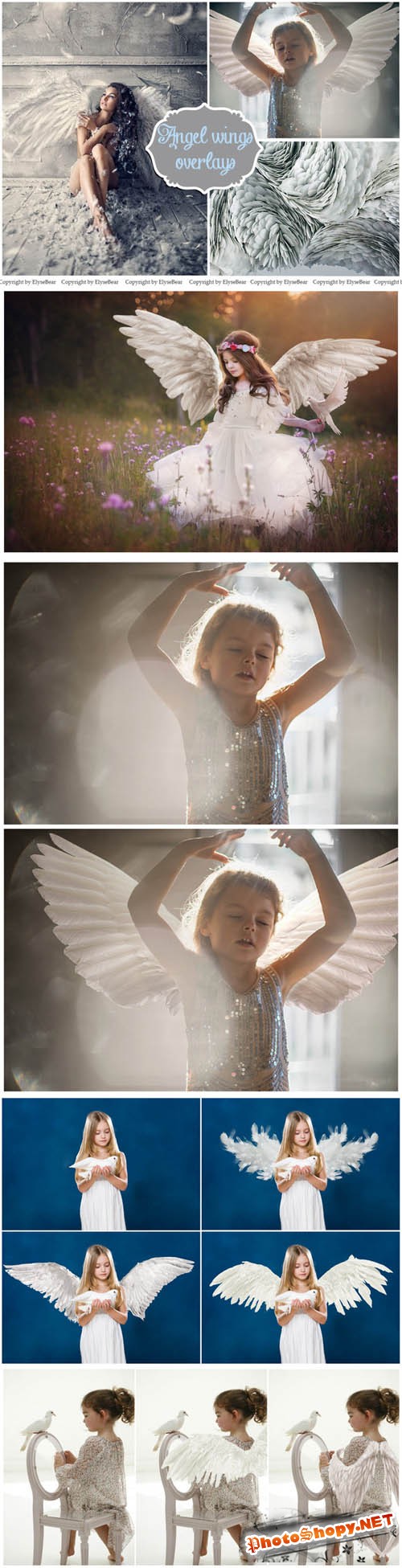 15 White Angel Wings Overlays PNG
