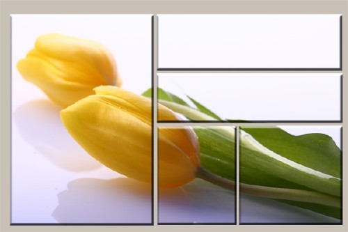 Модульная картинка из пяти частей - Тюльпан