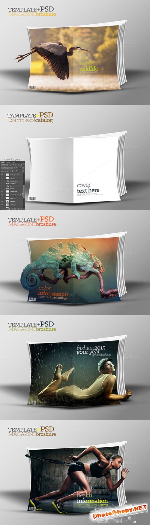3D Template catalog PSD