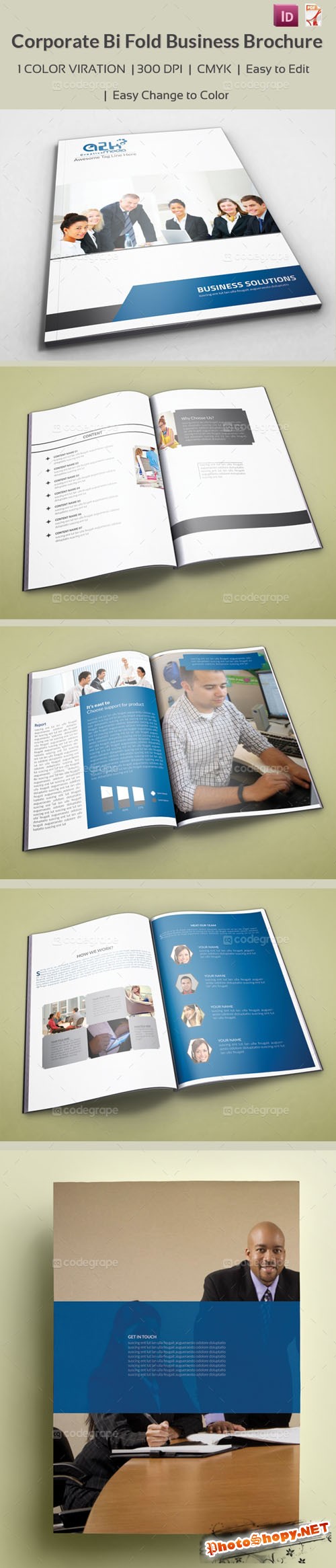 CodeGrape - Corporate Bi Fold Business Brochure 5271