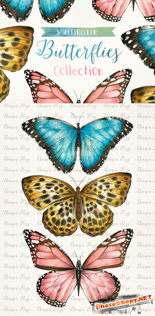 3 Watercolor Butterflies - Creativemarket 198350