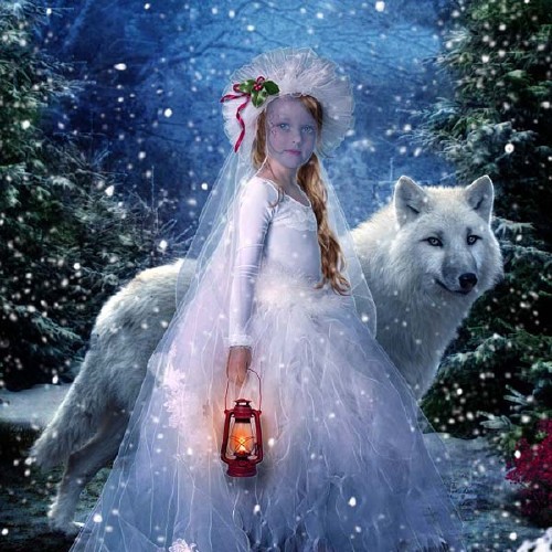  Шаблон для фотошопа - Ночью в лесу с белым волком 