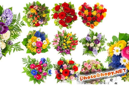 Bouquets of colorful flowers - Creativemarket 202984