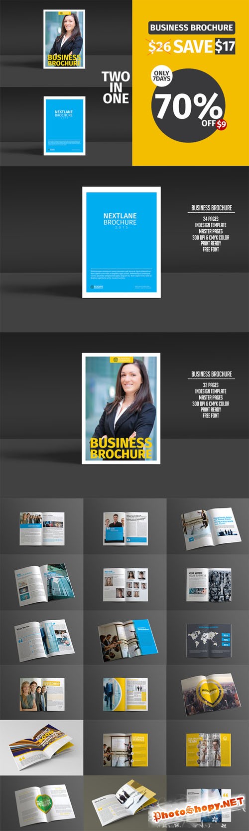 Business Brochure Bundle - CM 203405