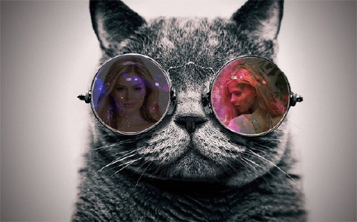Рамка для фотошоп - Котик в очках