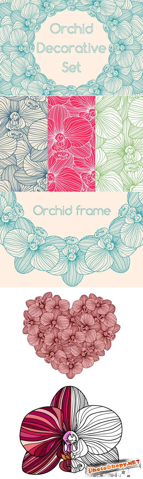 Decorative Orchid Set - Creativemarket 224931