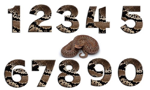 PSD исходники - Цифры из кожи змеи