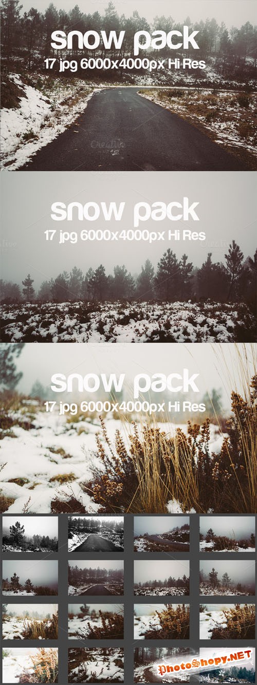 Creativemarket Snow Pack 157284