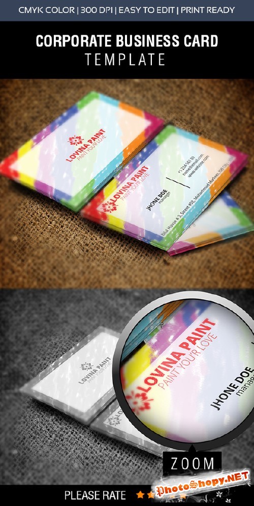 Lovina Paint Business Card Design