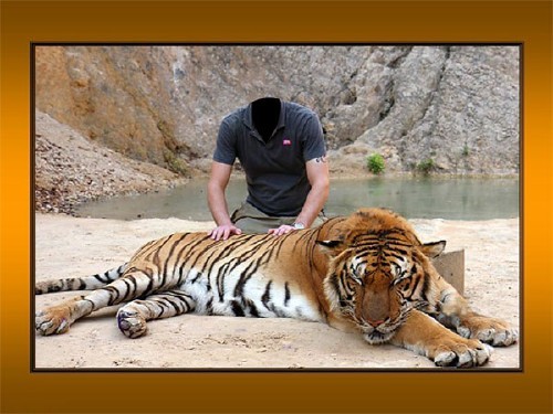 Мужской фото шаблон - Рядом с тигром