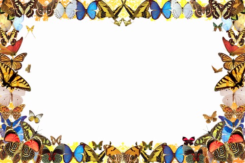 Летняя фоторамка - Озорные бабочки