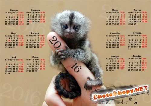 Календарь настенный - Крошечная обезьянка