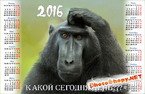 Календарь 2016 - Задумчивая обезьяна
