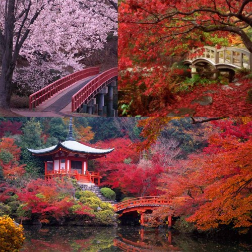 Китай и Япония - пейзажи (преимущественно осень, весна)