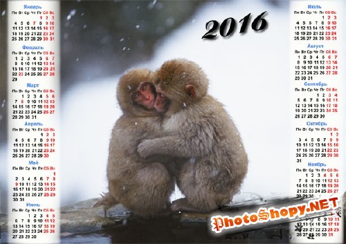  Календарь - 2 обезьянки греются зимой 