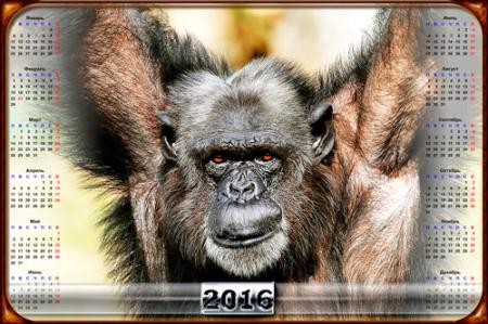 Календарь - Из породы обезьян