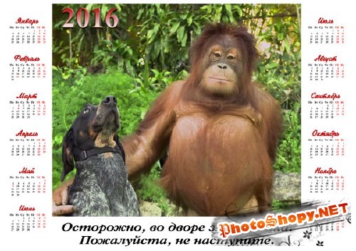 Настенный календарь - Орангутанг с собакой