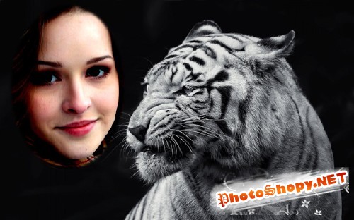 Рамка для фото - Грозный белый тигр