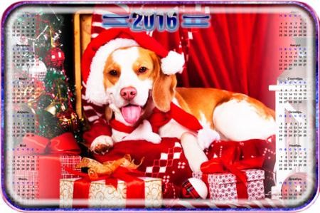 Настенный календарь - Собака в подарок под елку (2016)