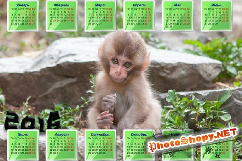 Маленькая обезьяна на камне - Календарь
