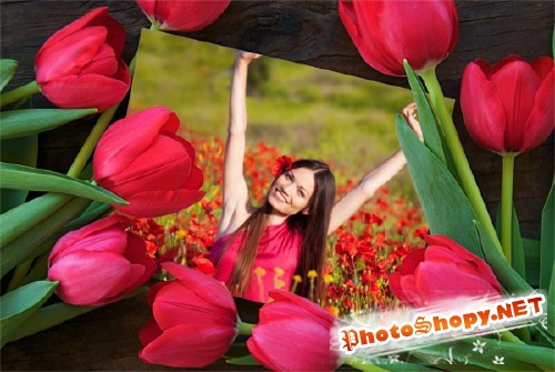 Рамка для фотошопа - Весенние цветы