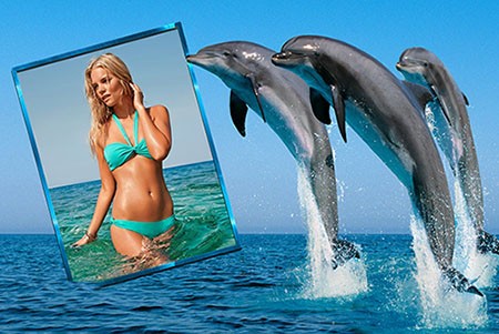 Рамка для фотографии - Дельфины