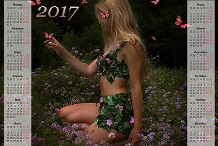 Настенный календарь на 2017 год - Лесная фея