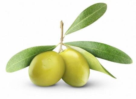 Картинки в формате png - Черные и зеленые оливки и маслины