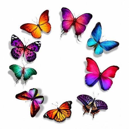 Клипарты Png - Цветные бабочки