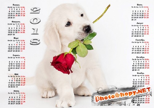  Красивый календарь - Белый щенок с розой 