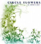 Кисти Circle Flowers