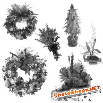 Кисти для фотошоп - Растения