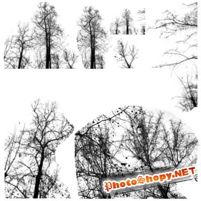 Кисти для фотошоп - Деревья
