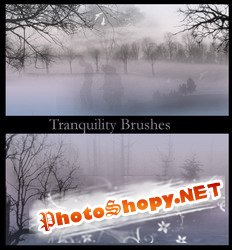 Tranquility Brushes