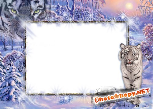 Рамка для фотошоп – Зимняя с белым тигром