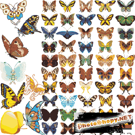 Клипарт-бабочки