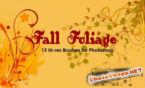 Fall-Foliage