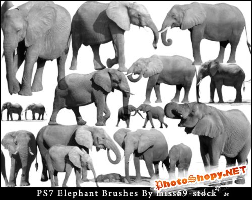 Кисти для фотшопа - Слоны