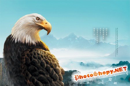 Исходник для Adobe Photoshop - "Сизый Орел"