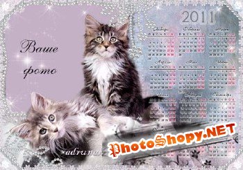 Календарь на 2011 год - С милыми котятами