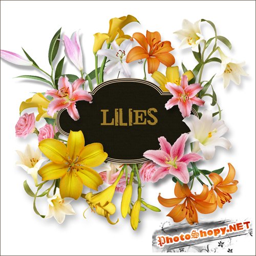 Scrap-kit - Lilies Set