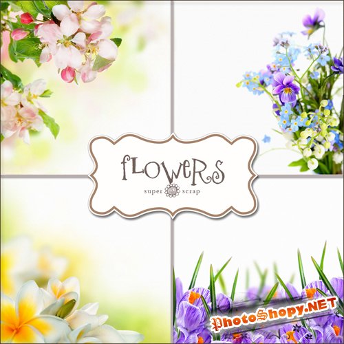 Textures - Flowers Backgrounds #21